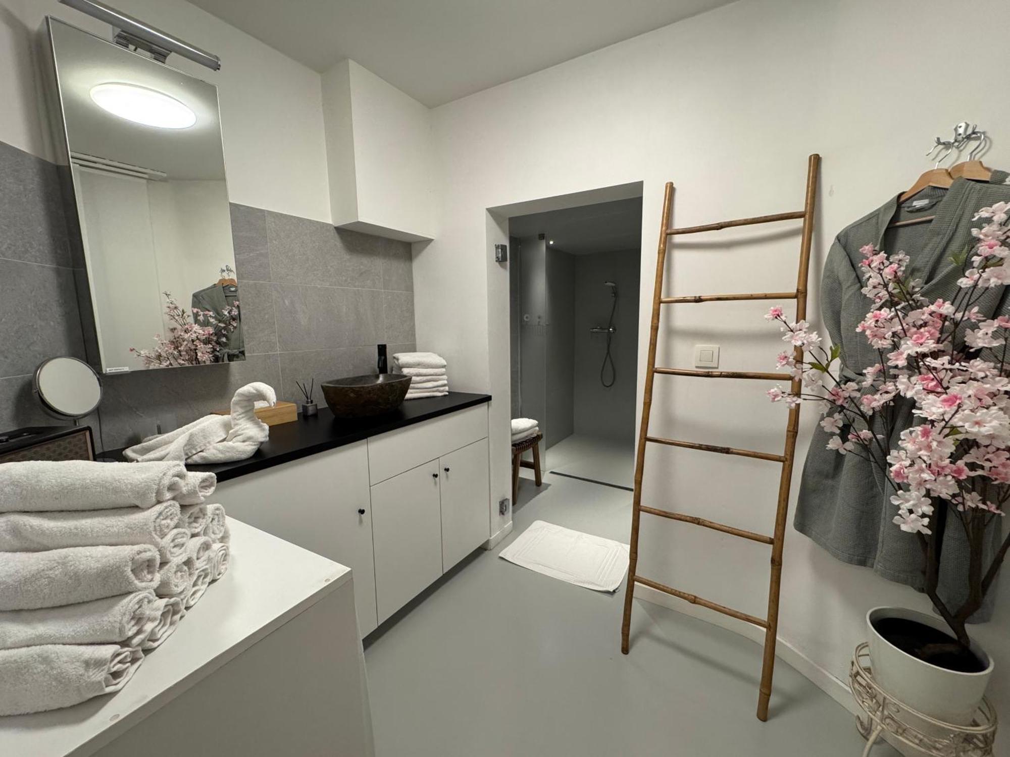 Coco Romantic In Central Antwerp - Sauna Екстер'єр фото